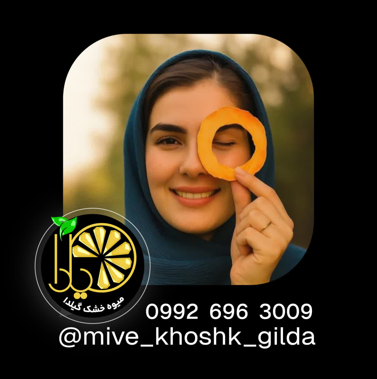 میوه خشک گیلدا